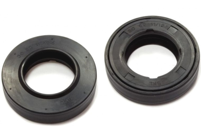 САЛЬНИК БАКА