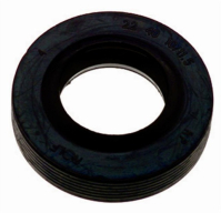 САЛЬНИК БАКА